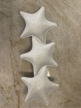 White Starfish Holiday Wall Decor - Unbranded